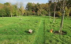 Read more about the article The Best Natural Burial Grounds in Yorkshire