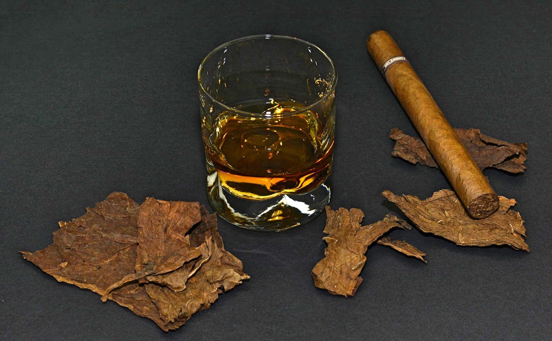 Read more about the article Funeral Poems about Addiction