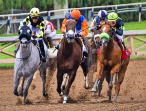 Read more about the article Funeral Poems About Horse Racing