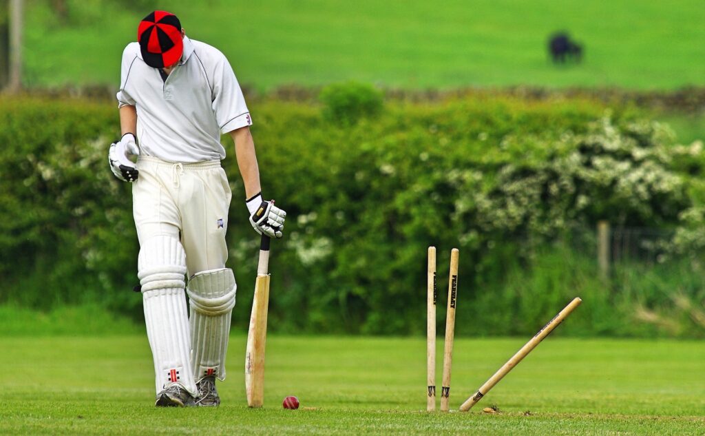 funeral poems about cricket