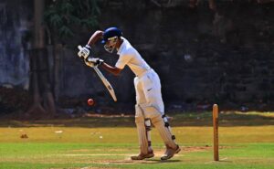 Read more about the article Funeral Poems About Cricket
