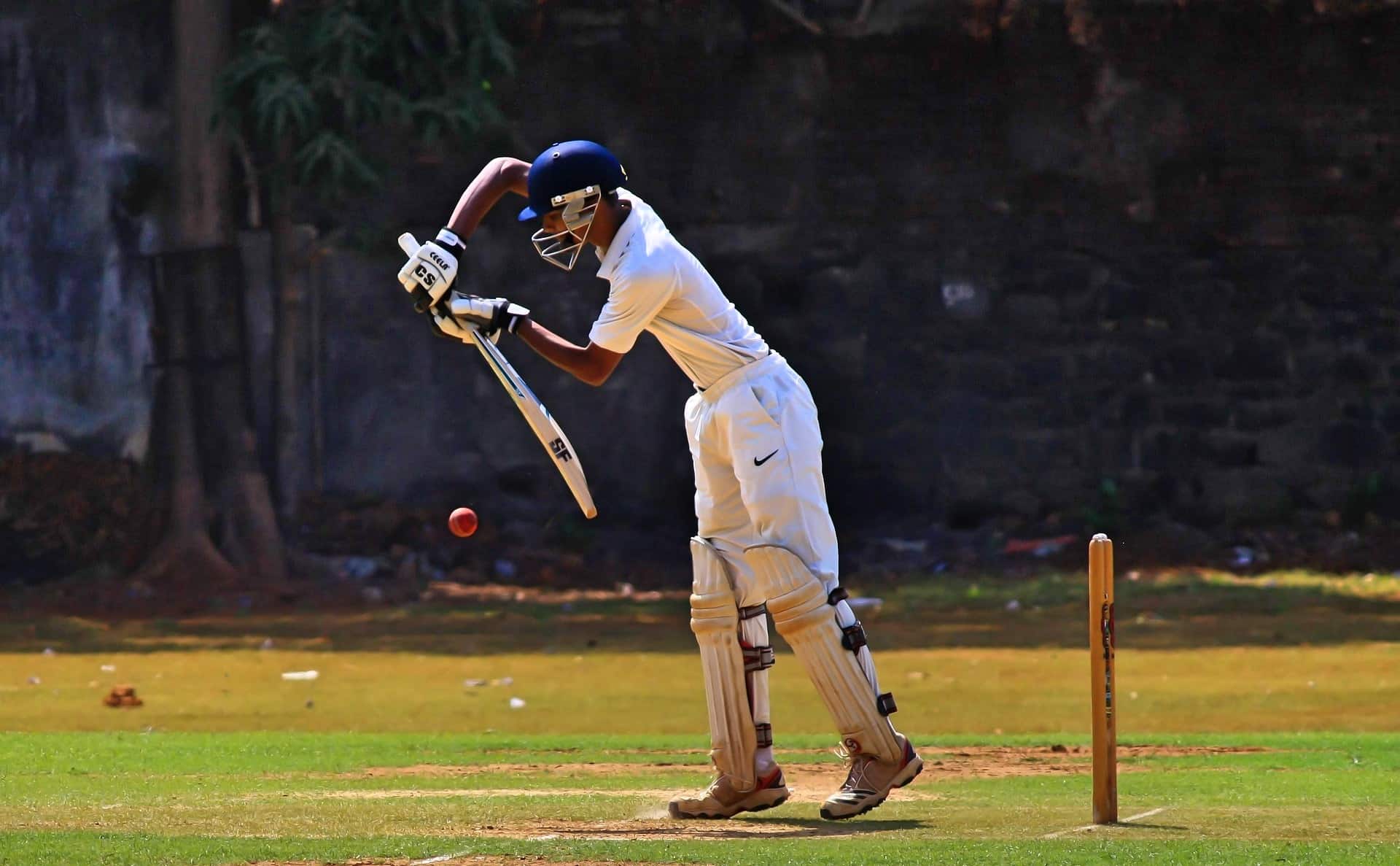 You are currently viewing Funeral Poems About Cricket