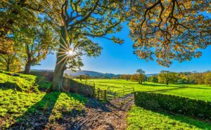 Read more about the article Funeral Poems About The Countryside