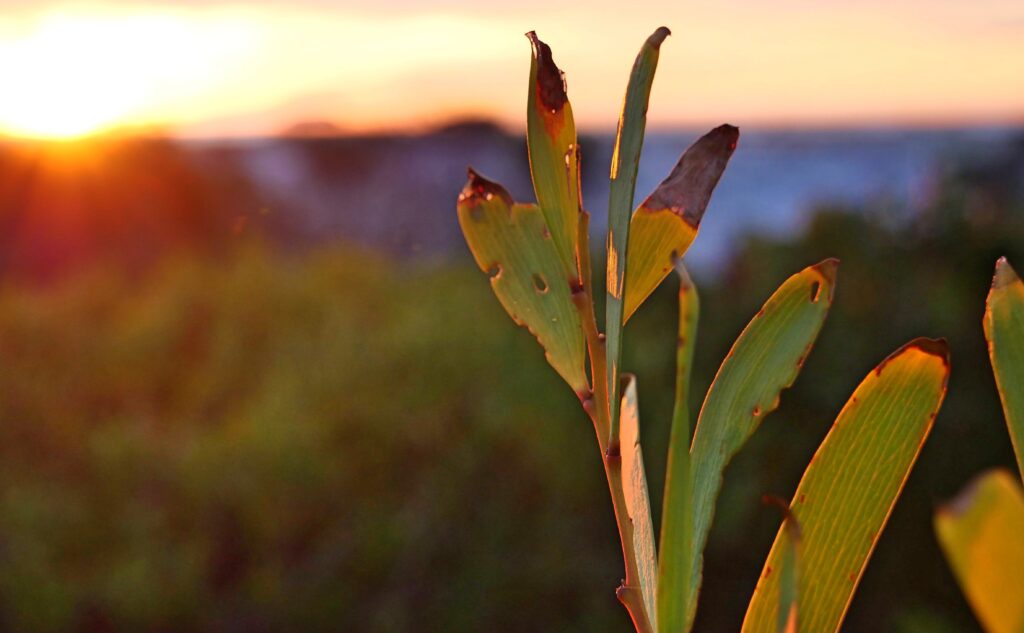 funeral poems about imperfection