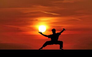 Read more about the article Funeral Poems About Martial Arts