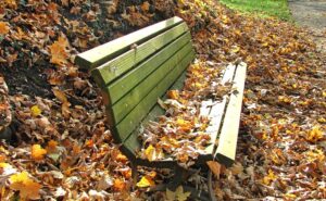 Read more about the article Funeral Poems About Letting Go