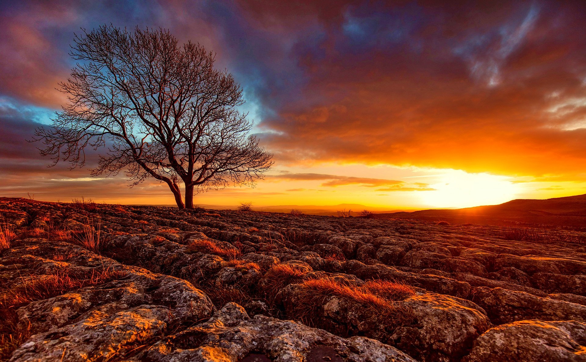 Read more about the article Funeral Poems About Yorkshire